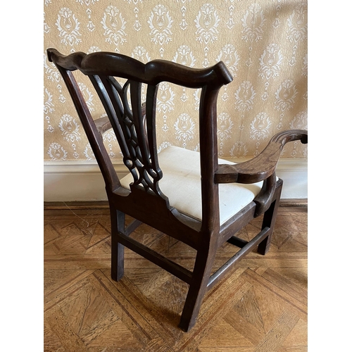 141 - Georgian Chestnut Childs Chair (63 cm W x 76 cm H x 45 cm D)