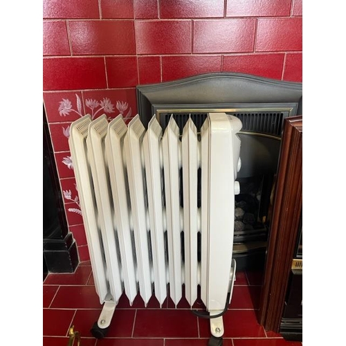 266 - Coal Effect Fire and a DeVille Radiator (67 cm H)