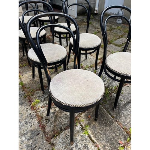 302 - Set of Eight Vintage Bentwood Chairs