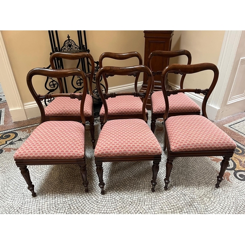 342 - Set of Six William IV Rosewood Saddle Back Dining Chairs with Drop In Seats (43 cm W x 86 cm H x 45 ... 