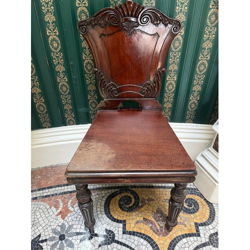 279 - Pair of William IV Mahogany Hall Chairs (40 cm W x 84 cm H x 40 cm D)