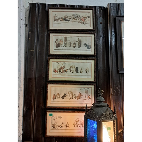 687 - Set of 5 French Canine Prints in Decorative Frames (each 55cm x 28cm)