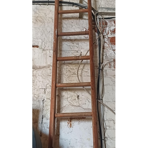 739 - Old P & T Ladder (400cm)