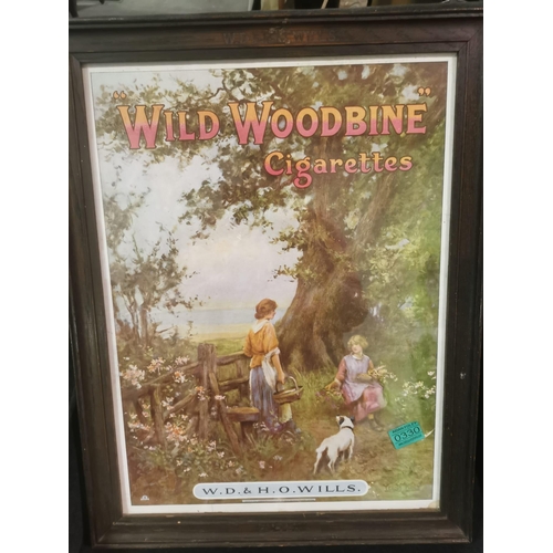 330 - Original Wills Woodbine Framed Print (frame engraved)