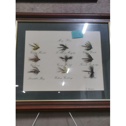 49 - Only signed set of Handmade Fishing Flies by Limerick man Joe Benson - with Letter of Authenticity