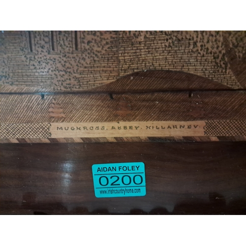 200 - 19th Century Killarney Wood Yew and Arbutus Gallery Tray Inlaid with Muckross Abbey Central Cartouch... 