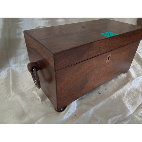 40 - Regency Rosewood Tea Caddy - one Handle decorated