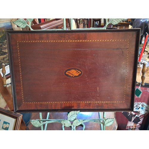 57 - Edwardian Inlaid Mahogany Gallery Tray with Shell Patera and Brass Handles