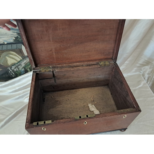 80 - 19th Century Mahogany Silver Chest with 3 Locks on 4 Bun Feet (50cm x 33cm x 30cm)