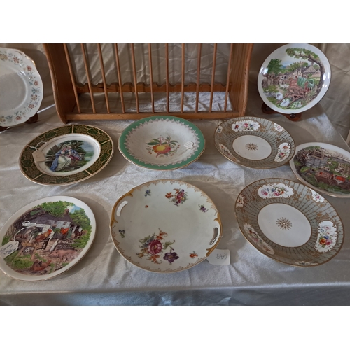 259 - Pine Plate Rack and a collection of Cabinet Plates