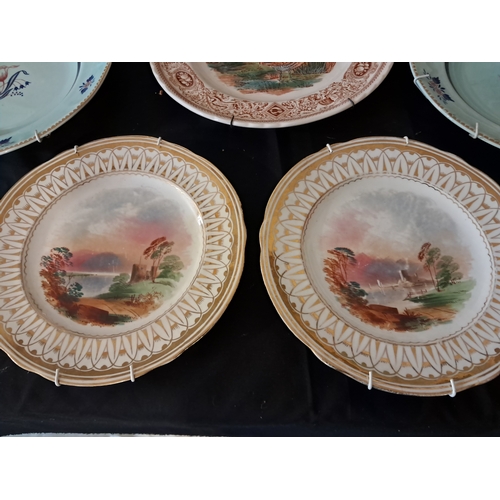 286 - Mixed lot of 8 collectible Cabinet Plates including 