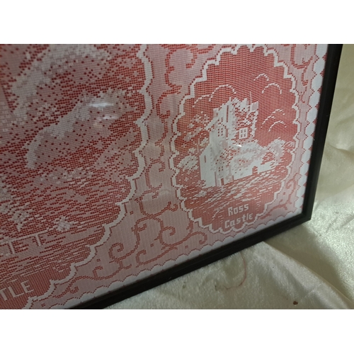 310 - Framed Lacework of 