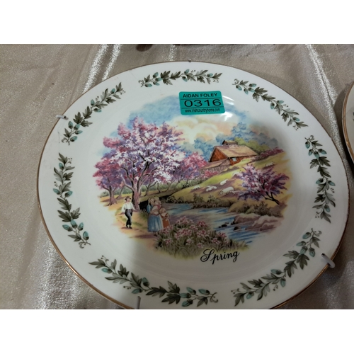 316 - Set of 4 China Cabinet Plates 