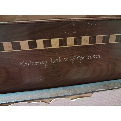 358 - 19th Century Killarney Wood Yew and Arbutus Deed Box, made for Mrs. Burns - Killarney Lake Specimen