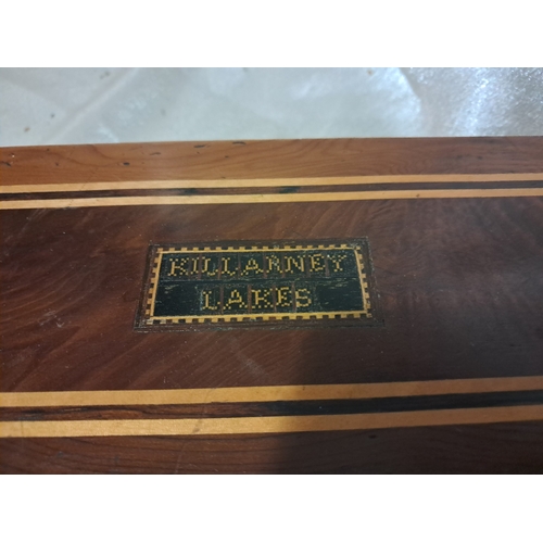 363 - 19th Century Killarney Wood Yew and Arbutus Glove Box (20cm x 9cm x 6cm)