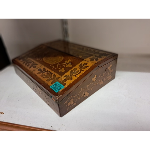 953 - 19th Century Killarney  Wood Writing Box with Central Cartouche of Muckross Abbey surrounded by Spri... 