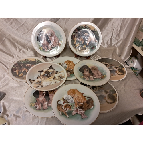 1203 - Lot of 10 Bone China Cabinet Plates (27cm Diameter)