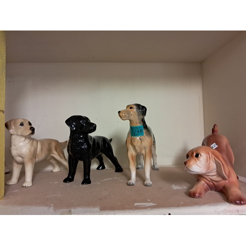 1248 - Lot of 8 Vintage Dog Figures - nice lot for the Dog Lover