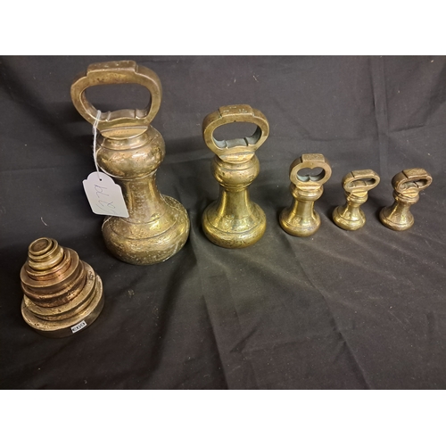 639 - Good lot of Brass Dumbbell Shop Weights together with a Set of Graduated Brass Scale Weights