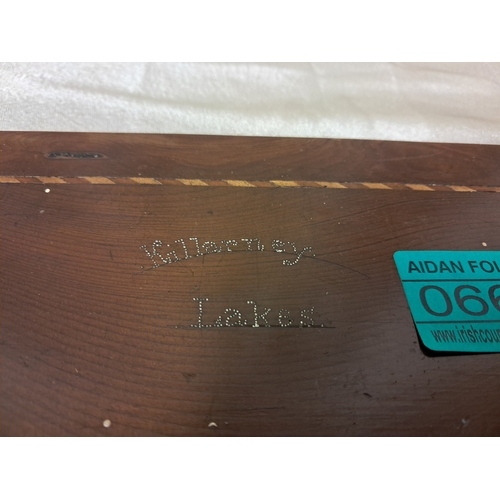 663 - 19th Century Killarney Wood Yew and Arbutus Book Stand engraved 