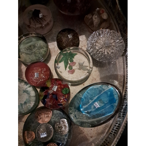 199 - Collection of 18 Glass Paperweights on a Silver Plated Gallery Tray