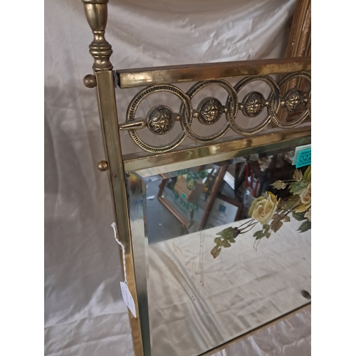 227 - Edwardian Brass Fire Screen with painted Bevelled Glass Panel