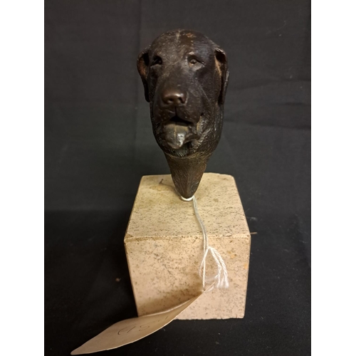 521 - A Cast Bronze Dog Figure Signed Cristobal on a Marble Base