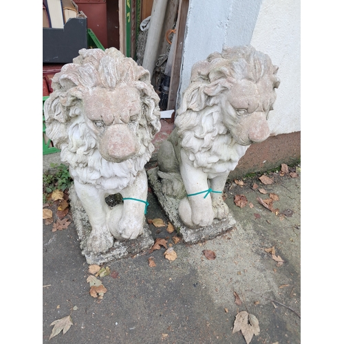 1031 - Pair of Cast Pier Top Lions (47cm Tall)