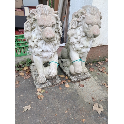 1031 - Pair of Cast Pier Top Lions (47cm Tall)