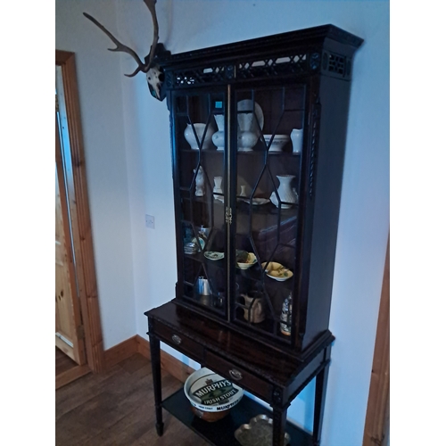 287 - Edwardian Mahogany Astragal Glazed Bookcase / Display Cabinet on Stand