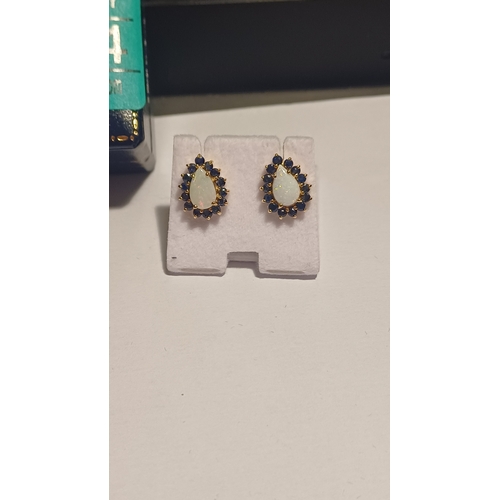 300 - 9 Carat Opal and Sapphire Earrings