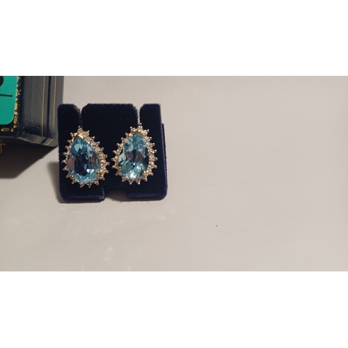 307 - 9 Carat Blue Topaz Cluster and Diamond Earrings