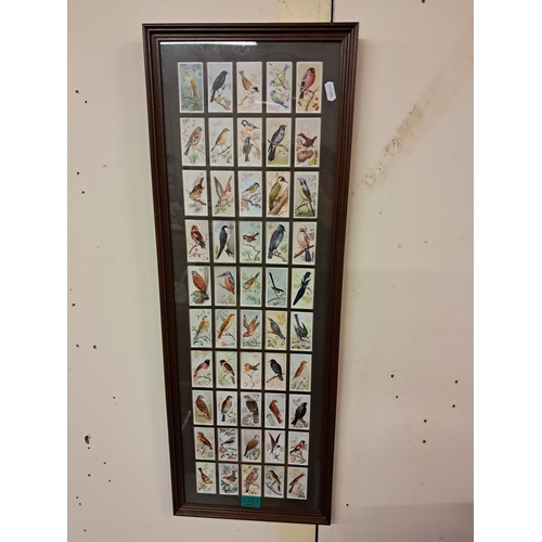 761 - Framed Set of Cigarette Cards - 