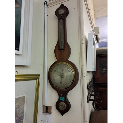 Lot 28        