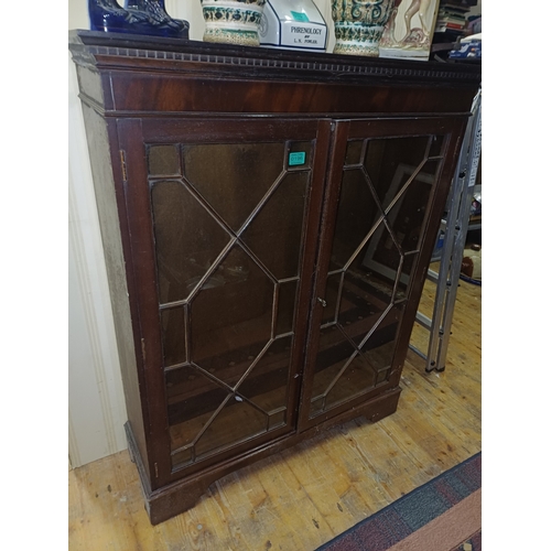 196 - Georgian Style Astragal Glazed Floor Bookcase (99cm x 120cm x 31cm)