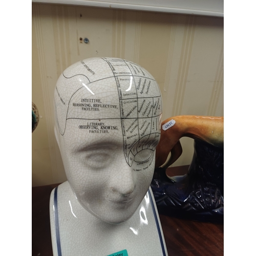 197 - Phrenology Head.