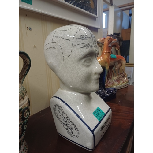 197 - Phrenology Head.