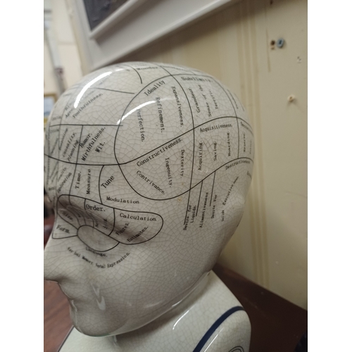 197 - Phrenology Head.