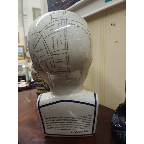 197 - Phrenology Head.