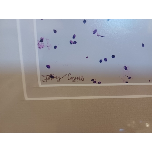 208 - John Coyne Print of Microscopic Cells (framed 49cm x 59cm)
