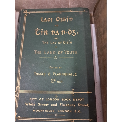 227 - Collection of Irish Language Titles (14)