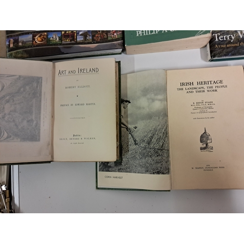260 - Irish Art Handbook
Elliot 