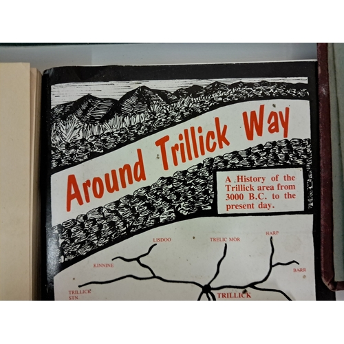 260 - Irish Art Handbook
Elliot 