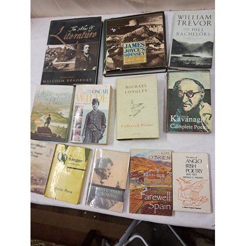 81 - Good lot of mainly Irish interest Literature and Poetry (12)
