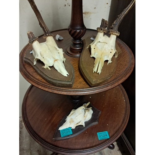 Lot 125       