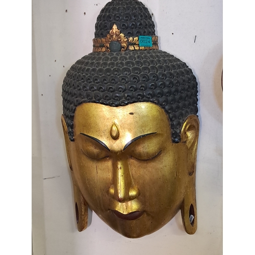 Lot 24        