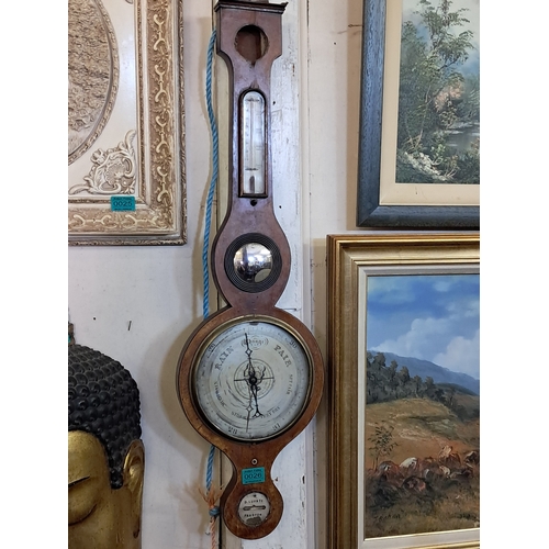 Lot 26        