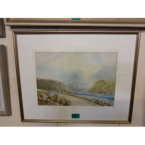 Lot 41        