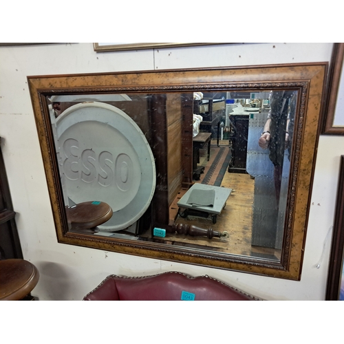 Lot 42        
