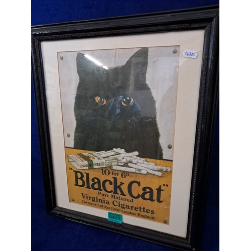 423 - Black Cat Virginia Cigarettes Framed Advertisement (50cm x 43cm)